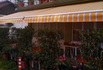 SPECIAL! Spatiu Showroom+panouri publicitare+pergola +birou, Grivitei Brasov