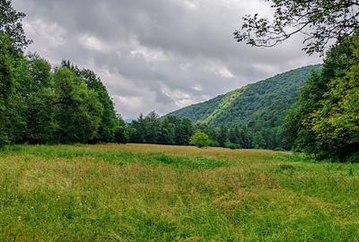 2,64 Ha TEREN SUPERB pe malul raului Crisul Repede padure parau NEGRENI - CLUJ - 2