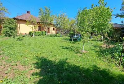 Casă cu 4 camere cu Teren 760 Mp în Central - 3