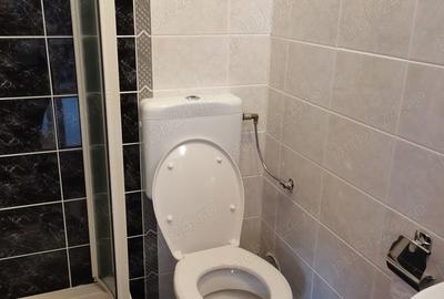 Inchiriere apartament cu trei camere Inchiriere apartament cu trei camere - 8