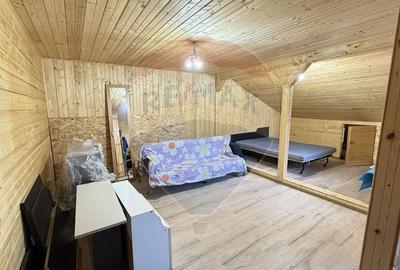 Casa / Vila cu 3 camere de inchiriat in zona Giurgiului - 11