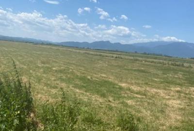 Teren de 1004 mp, în Râșnov - 1