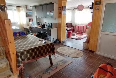 Casa de vacanta Ranca - 6