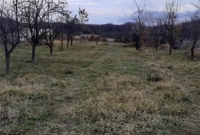 Casă în Frătești - 3