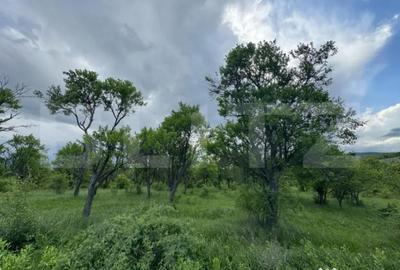 Teren de 5305 mp, în Central