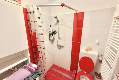 Garsonieră practică și accesibilă în zona Buziașului - 5