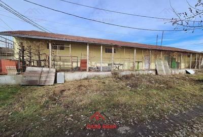 Hala in Campina--280 mp--800e - 3