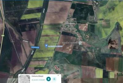 Teren Albesti, Vaslui, ID: R2893960 - 1