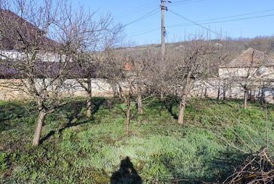 Casă cu 3 camere cu Teren 738 Mp în Ohaba - 9