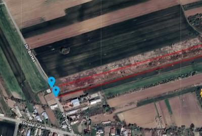 Vand teren in Tandava cu deschidere la PADURE (Gradinari, Giurgiu) - 3