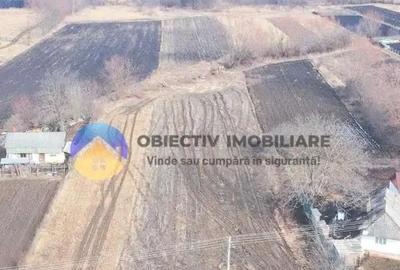 Teren de 10515 mp, în Bodești - 1