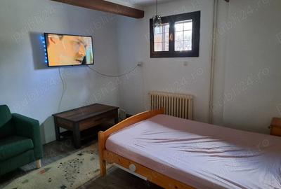 Garsonieră decomandată în Central - 1