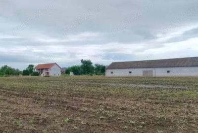 Casa Ru?eni , hala industriala, balta de pescuit , 1,5 ha teren - 3