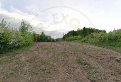 Teren 900 mp intravilan Smeura-Mosoaia. Comision 0% - 5