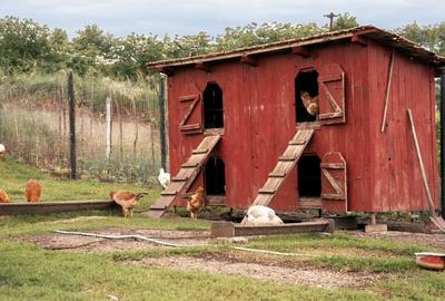 Teren agricol intravilan de 7603 mp, în Delenii - 7