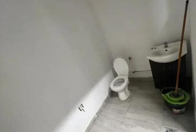 Spatiu comercial ,stradal,hala ,Zona Vitan - 2