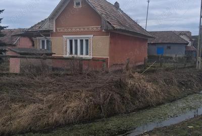 Casă cu 2 camere în Central - 1