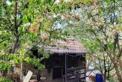 Casă cu 5 camere cu Teren 500 Mp în Central - 7