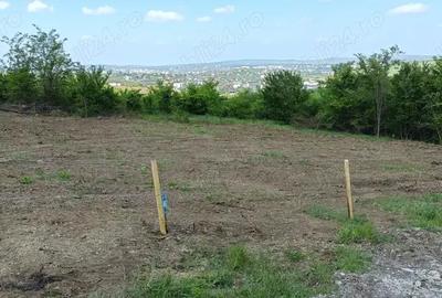 Teren de 100 mp, în Vișan - 2