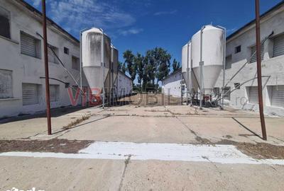 Teren de 35000 mp, în Funcționarilor - 10