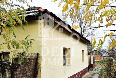 Casa de vanzare cu teren de 1532 mp in satul Berini, Timis - 2