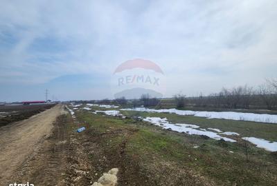 Teren de 34260 mp, în Ciorogârla - 2