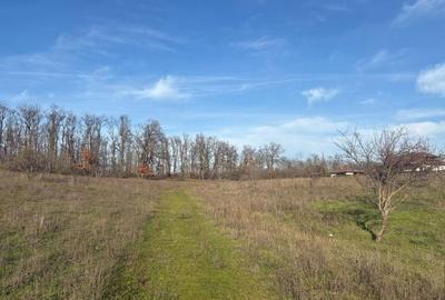 Teren 10.009 mp cu deschidere 70 m — vedere la lac și pădure - 3
