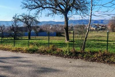 Teren de vanzare 2.550 mp, pozi?ie excelenta, Stalpeni (zona centrala), jud AG - 3