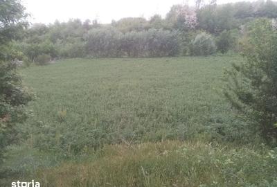 Teren de 2464 mp, în Central - 6