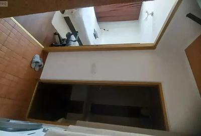 Apartament cu 2 camere decomandat în Hațeg - 6
