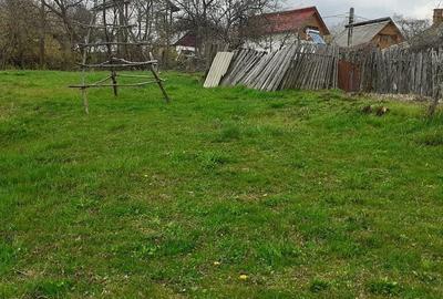 Casa de vanzare Cerbureni Arges - 11