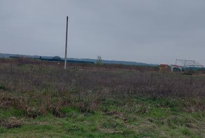 Teren Construcții intravilan de 5808 mp, în Săbăreni - 8