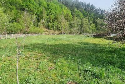 Casă cu 4 camere cu Teren 2727 Mp în Central - 2