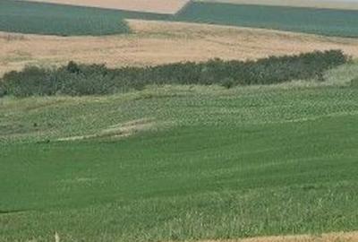 Teren de 1497 mp, în Aroneanu - 3