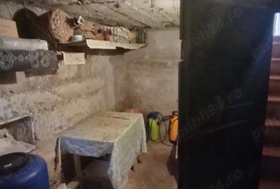 Casa Micesti 2 corpuri - 8