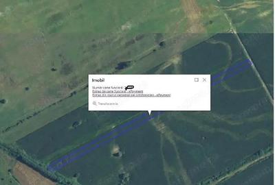 Teren extravilan 5000 mp, Com Ungheni, Jud Arges Teren extravilan 5000 mp, Com Ungheni, Jud Arges - 3