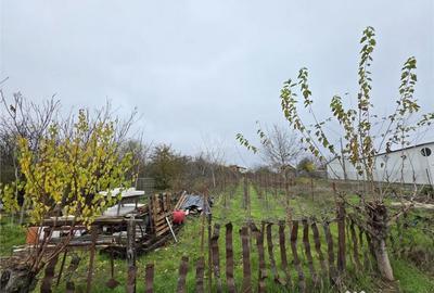 Teren de 16000 mp, în Brănești - 3