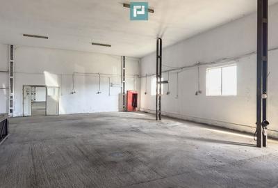 Spațiu industrial de 725 mp în Vladimirescu - 1