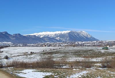 Teren Construcții intravilan de 5783 mp, în Bran - 1