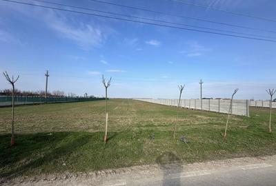 Spațiu comercial, în Bălăceanca - 4