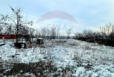 Teren de 1161 mp, în Sânmartin - 4