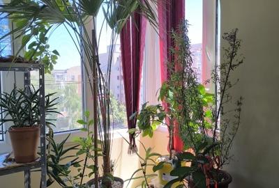 Apartament 2 camere, UTA, mobilat + centrala + Aer conditionat - 7