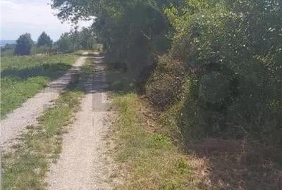 Teren de 17500 mp, în Șinteu - 3