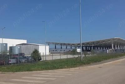 Teren de 9000 mp, în Vest - 3