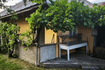 Casa batraneasca in Bretcu (Covasna) la schimb cu garsoniera in orasul Brasov - 3