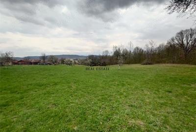 Teren de 9370 mp, în Țebea - 20