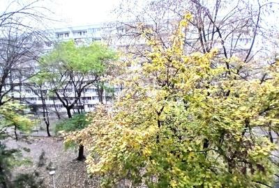 2 camere parc Gh. Petrascu | Baba Novac - 5