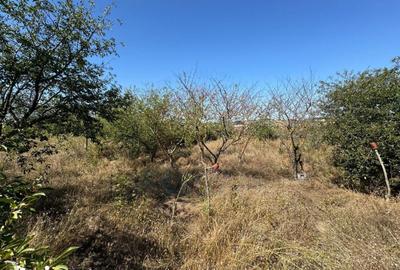 Casă cu 2 camere cu Teren 2000 Mp în Central - 6