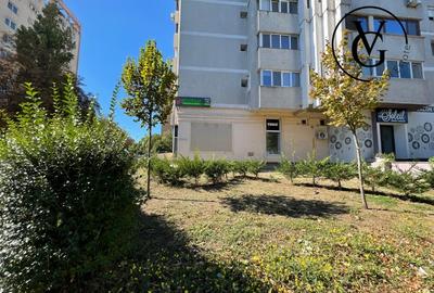 Spatiu Comercial -Bd. Al. Lapusneanu -City Park Mall- 71 mp - 12