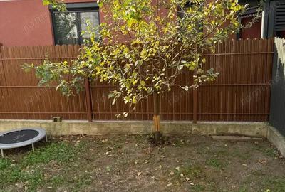 Apartament cu 3 camere decomandat în Dumbrăvița - 14